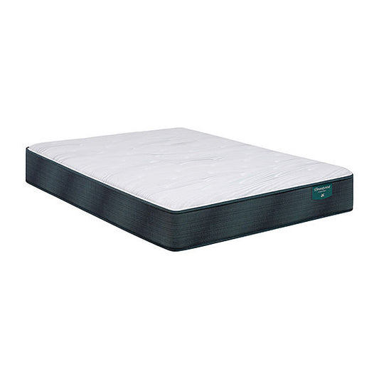 Beautyrest® Harmony Beachfront Bay Plush - Queen Mattress